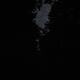 It’s hard to take pictures in near complete-darkness without a tripod, but this gives some idea of the stars between the treetops.